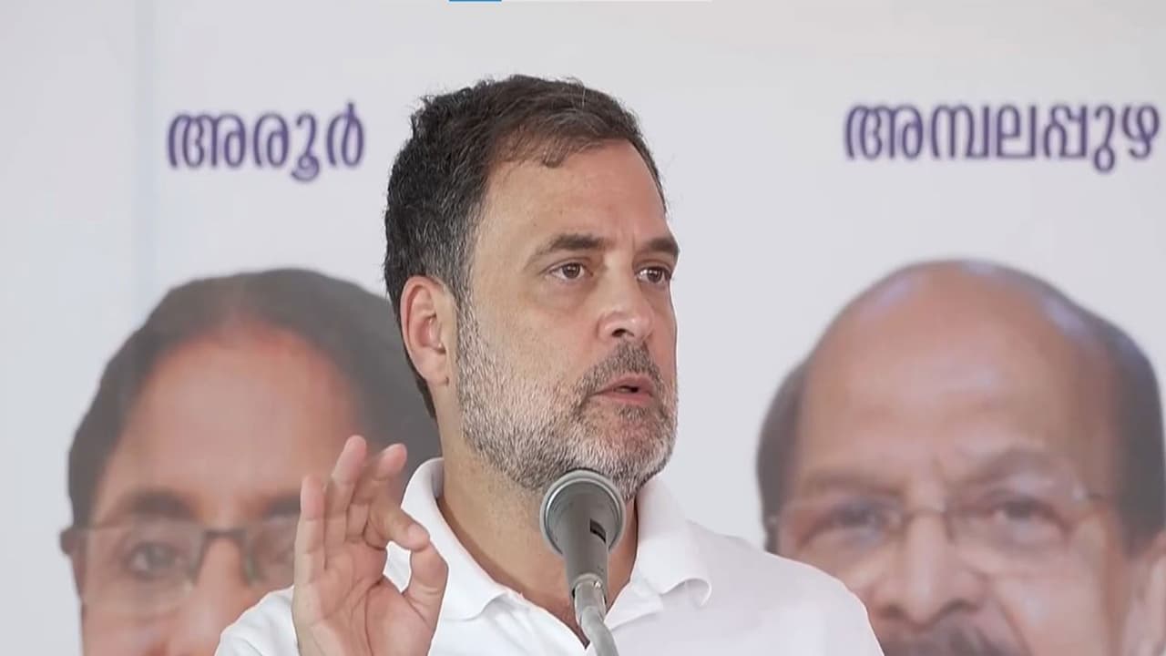 Congress MP Rahul Gandhi (Photo/ANI) Congress MP Rahul Gandhi (Photo/ANI)