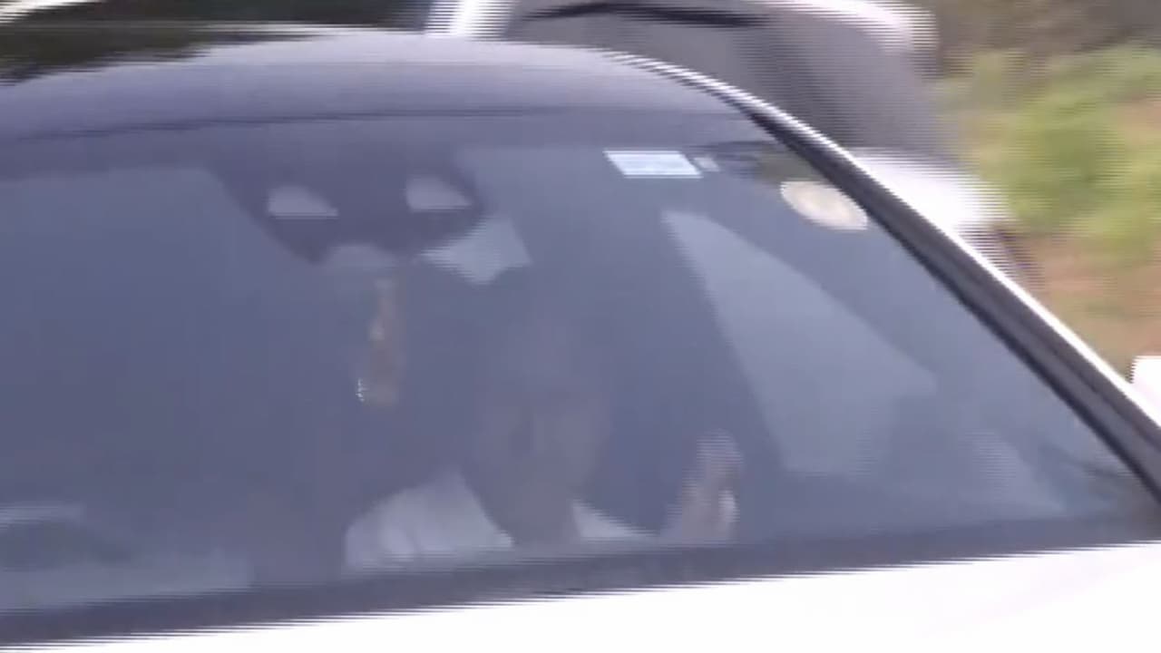 Former CM K Chandrashekhar Rao leaves his Erravalli Farmhouse (Photo/ANI) Former CM K Chandrashekhar Rao leaves his Erravalli Farmhouse (Photo/ANI)