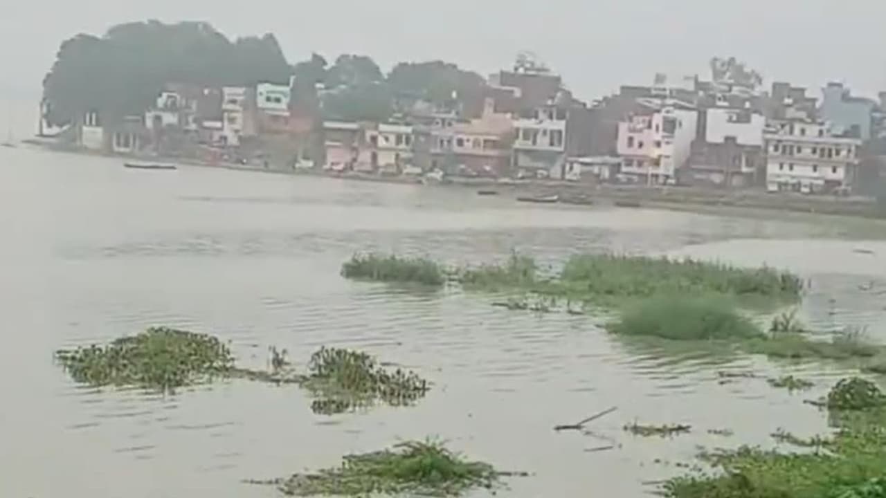 Rising Ganga and Yamuna water levels shift Sangam location, water reaches low lying areas near Nagvasuki Temple (Photo/ ANI) Rising Ganga and Yamuna water levels shift Sangam location, water reaches low lying areas near Nagvasuki Temple (Photo/ ANI)