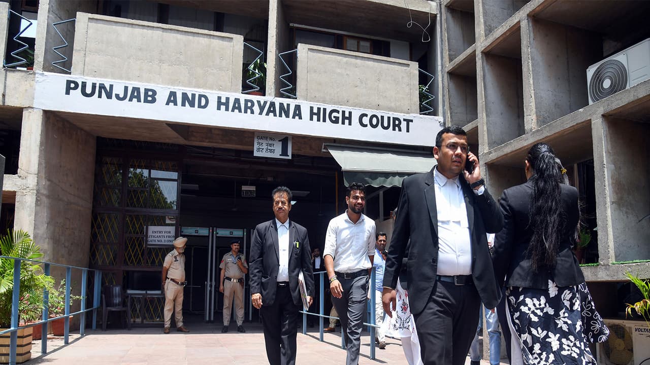 Punjab and Haryana High Court (File Photo/ANI) Punjab and Haryana High Court (File Photo/ANI)