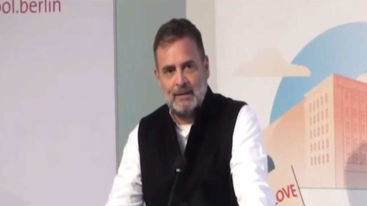 Lok Sabha LoP Rahul Gandhi (Photo/Congress) Lok Sabha LoP Rahul Gandhi (Photo/Congress)