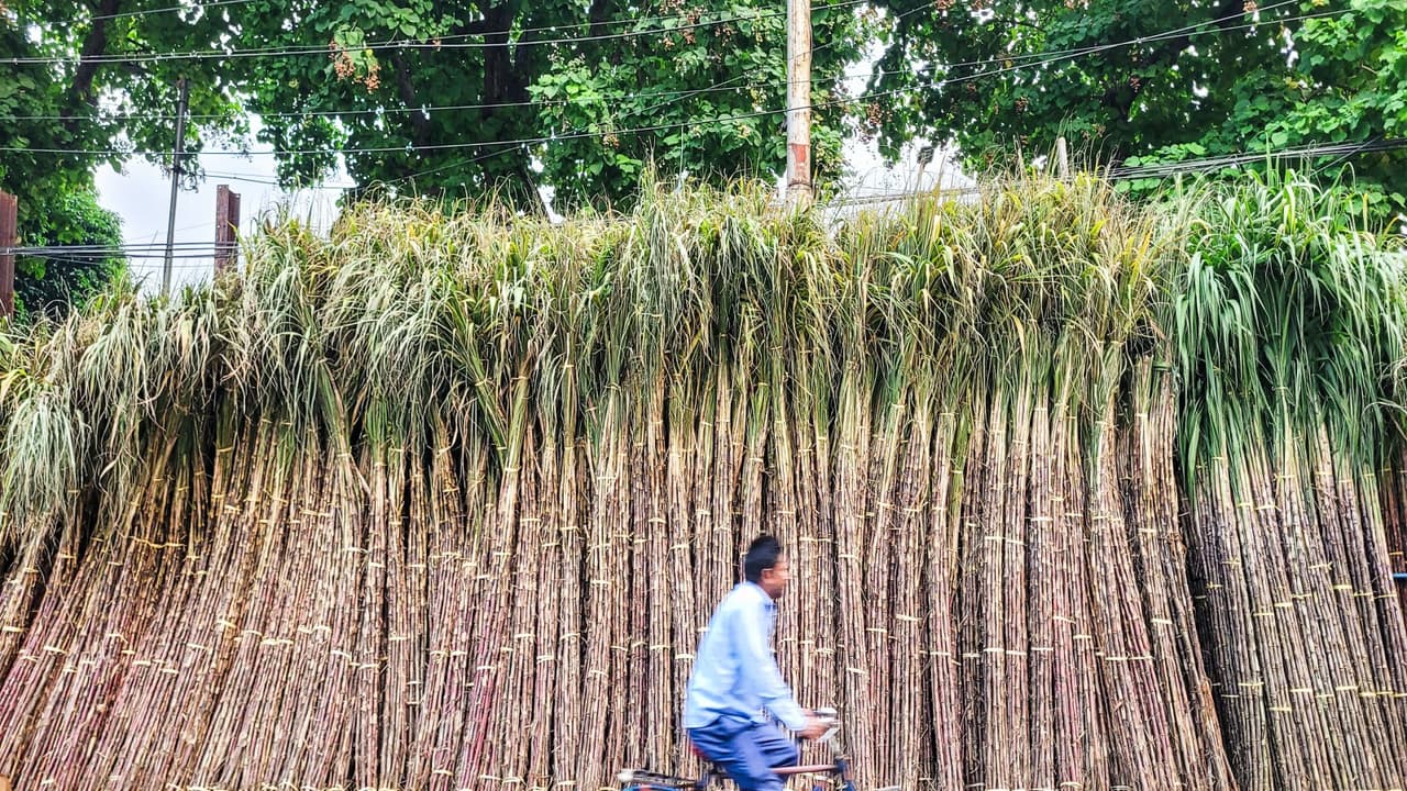 Representative Image (File Photo/ANI) Representative Image (File Photo/ANI)