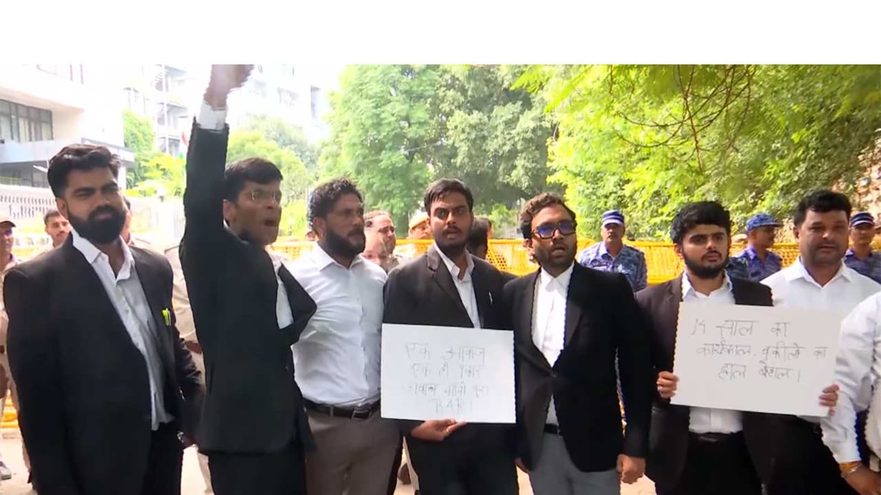Lawyers protest to demand BCI Chairman Manan Kumar Mishra's resignation (File Photo/ANI) Lawyers protest to demand BCI Chairman Manan Kumar Mishra's resignation (File Photo/ANI)