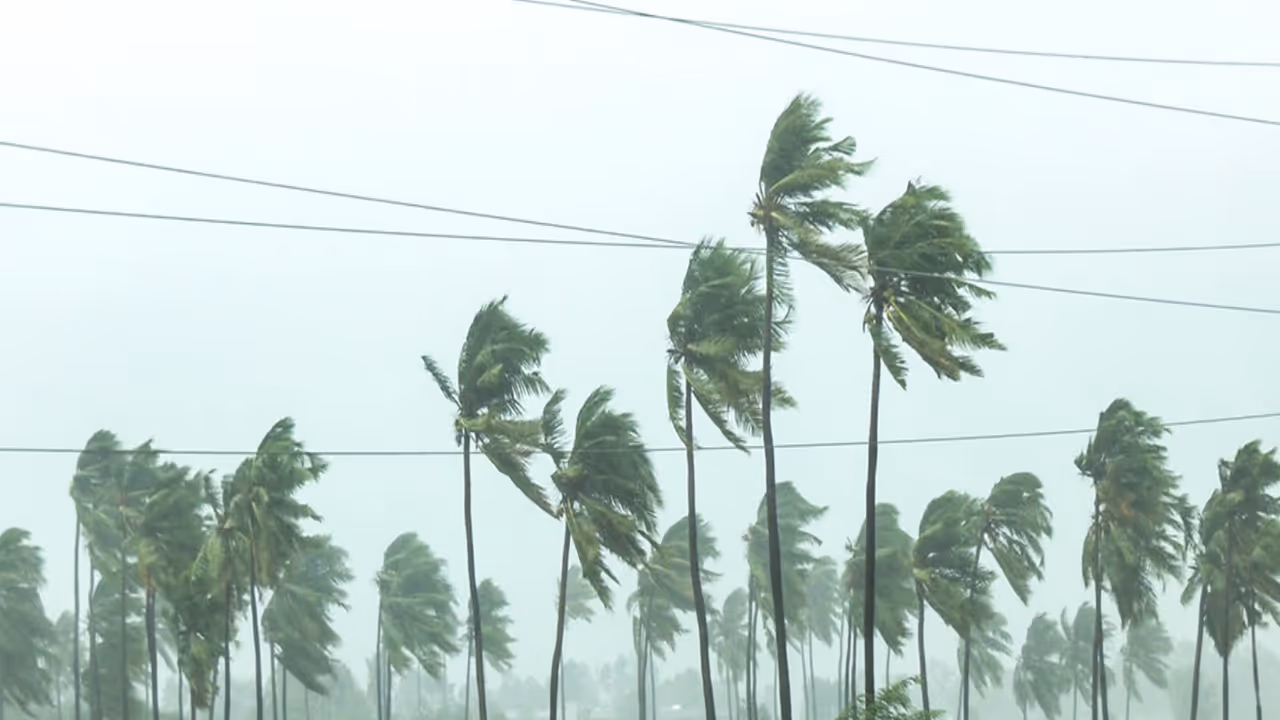 Cyclone Arnab brings fierce winds and heavy rain to Machilipatnam, Andhra Pradesh (Photo/ANI) Cyclone Arnab brings fierce winds and heavy rain to Machilipatnam, Andhra Pradesh (Photo/ANI)