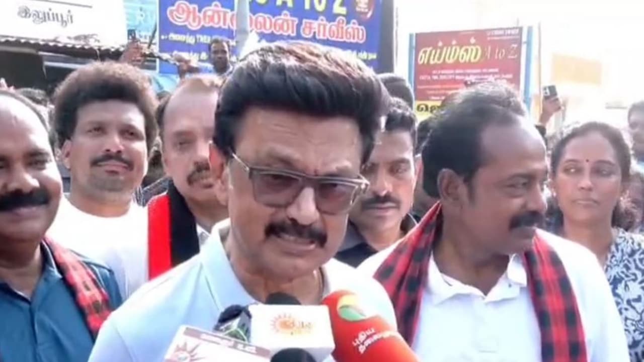 Tamil Nadu Chief Minister MK Stalin (Photo/ANI) Tamil Nadu Chief Minister MK Stalin (Photo/ANI)