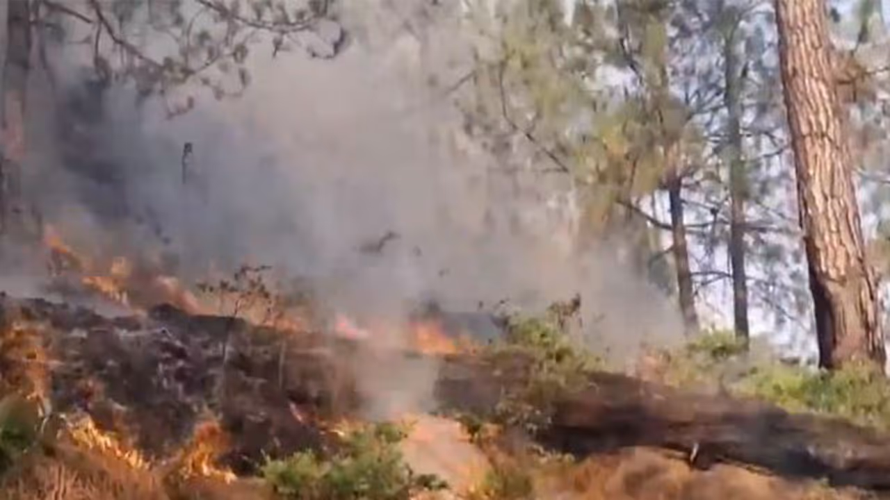 Forest fires break out in multiple locations across the Rajouri districts (Photo/ANI) Forest fires break out in multiple locations across the Rajouri districts (Photo/ANI)