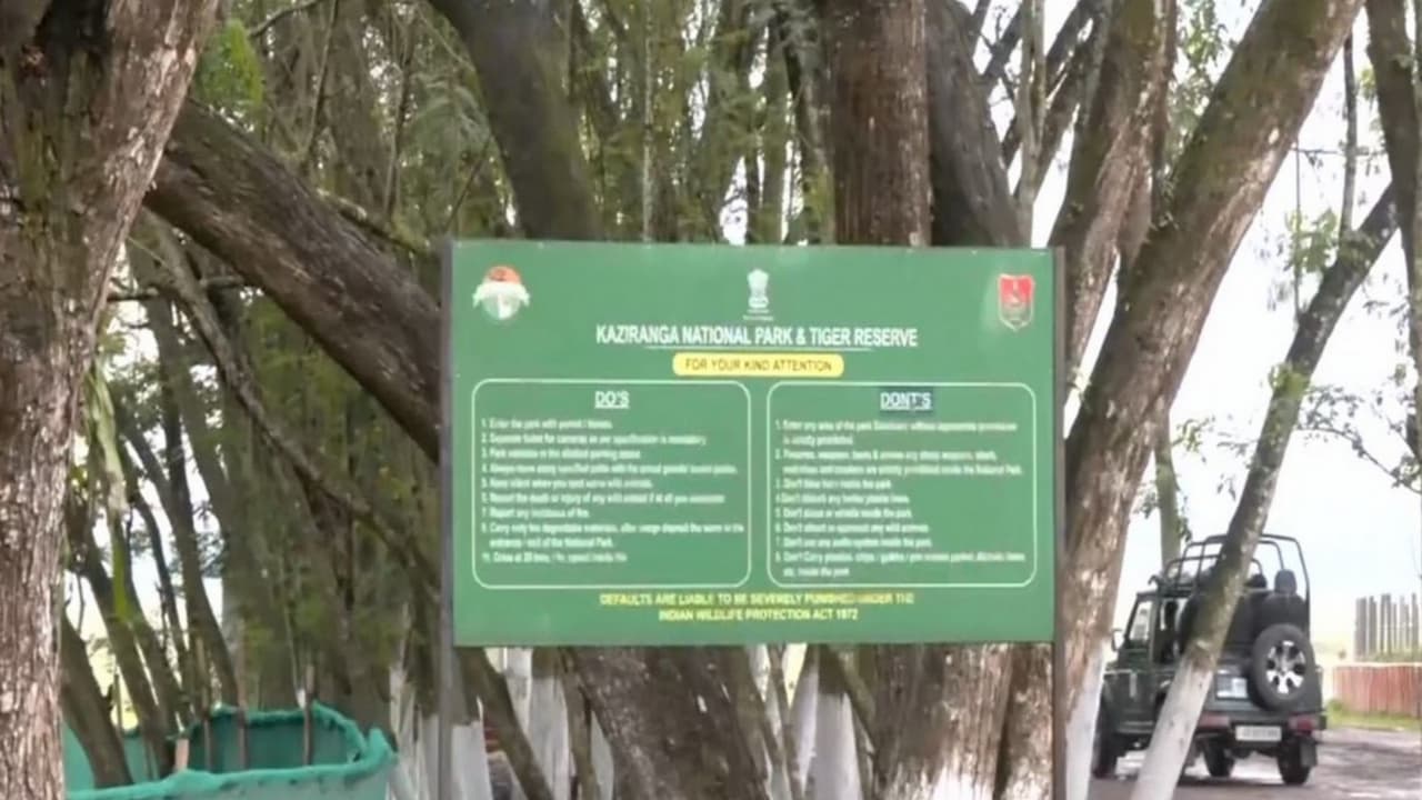 Visual from Kaziranga National Park in Assam (Photo/ANI) Visual from Kaziranga National Park in Assam (Photo/ANI)