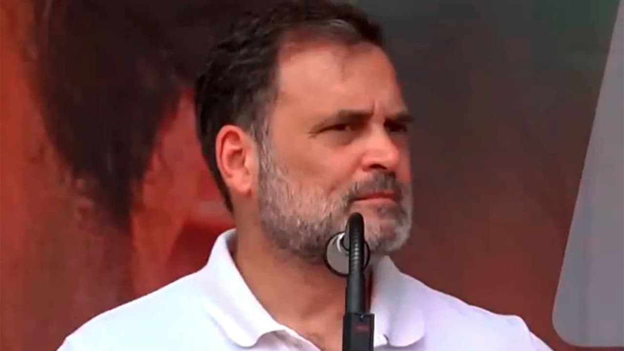 Congress MP Rahul Gandhi (Photo/ANI) Congress MP Rahul Gandhi (Photo/ANI)