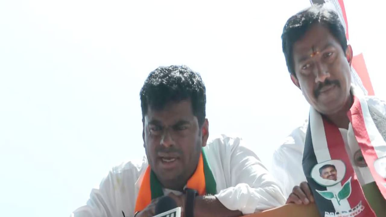 BJP leader K Annamalai (Photo/ANI) BJP leader K Annamalai (Photo/ANI)