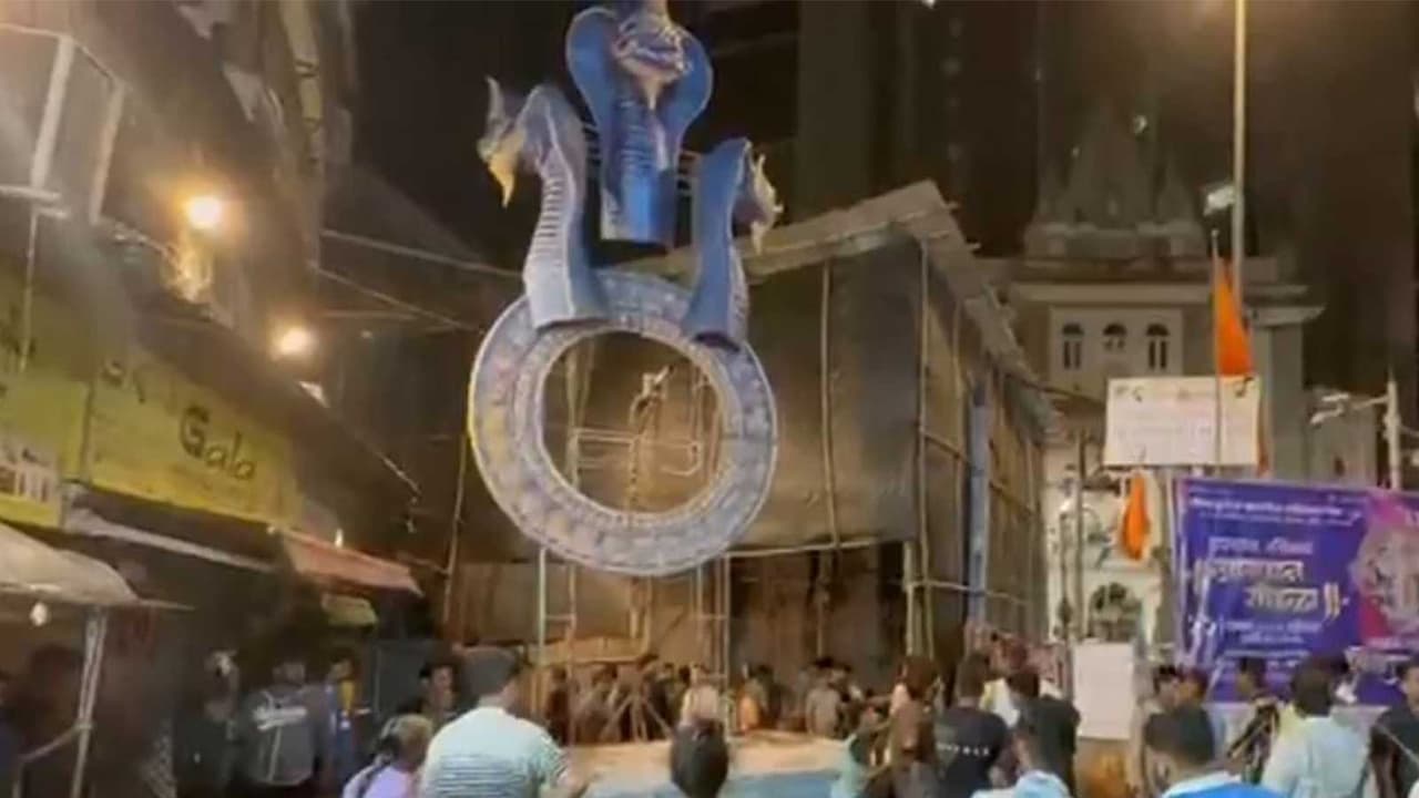 Place where the idol fall (Photo/ANI) Place where the idol fall (Photo/ANI)