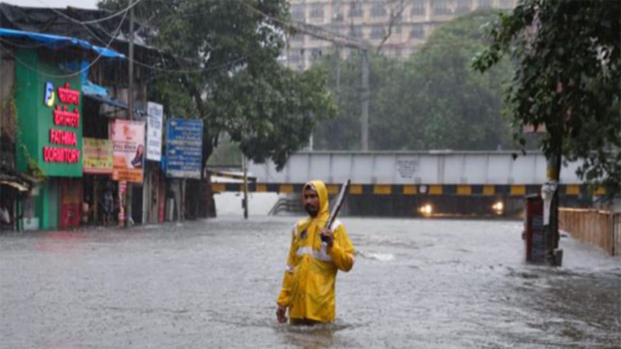 Representative image (File photo/ANI) Representative image (File photo/ANI)