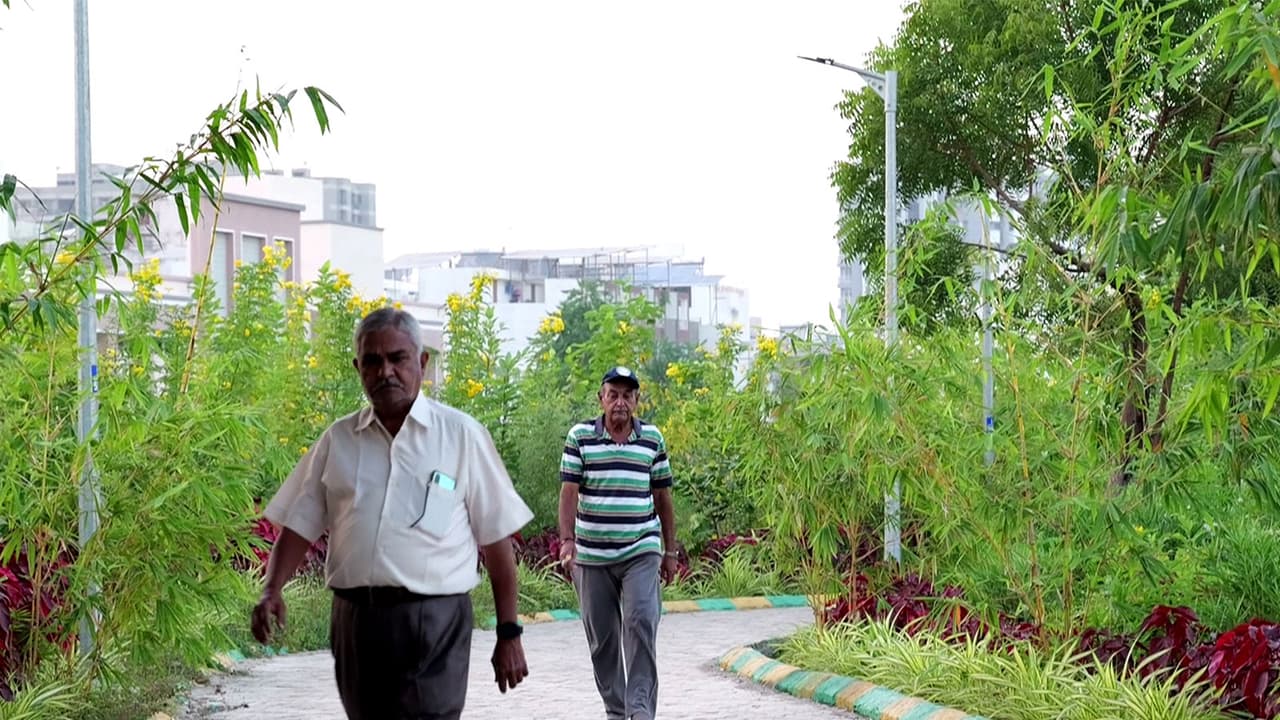 Gujarat expands urban green spaces (Photo/ANI) Gujarat expands urban green spaces (Photo/ANI)