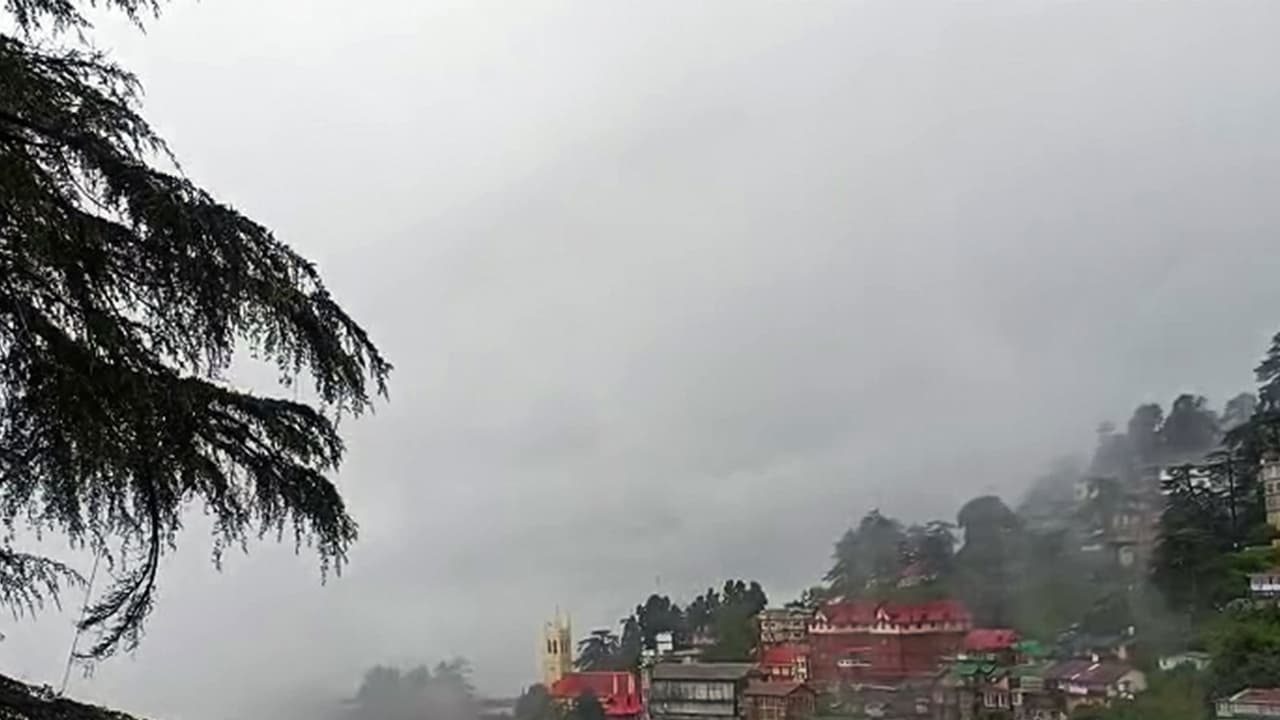 Himachal Pradesh's Shimla witnesses consistent rainfall (Photo/ANI) Himachal Pradesh's Shimla witnesses consistent rainfall (Photo/ANI)