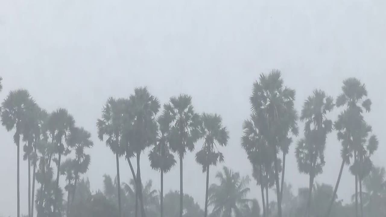 Cyclone Ditwah triggers rainfall, strong winds and high tides (Photo/ANI) Cyclone Ditwah triggers rainfall, strong winds and high tides (Photo/ANI)