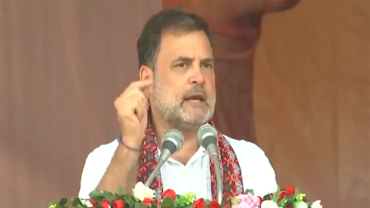 Congress MP Rahul Gandhi (Photo/ANI) Congress MP Rahul Gandhi (Photo/ANI)