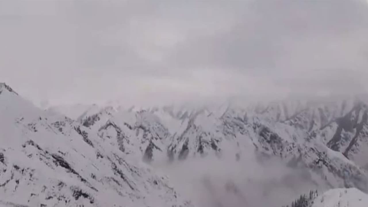 Snowfall in J&K's Gurez Tulail (Photo/ANI) Snowfall in J&K's Gurez Tulail (Photo/ANI)