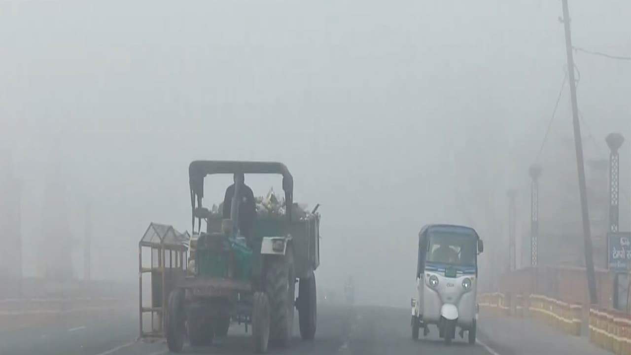 Visuals of early morning fog in Moradabad, UP (Photo/ANI) Visuals of early morning fog in Moradabad, UP (Photo/ANI)