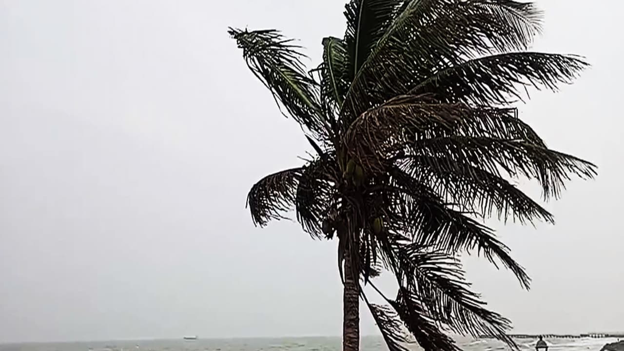 Strong winds and high tides triggered by Cyclone Ditwah (File Photo/ANI)