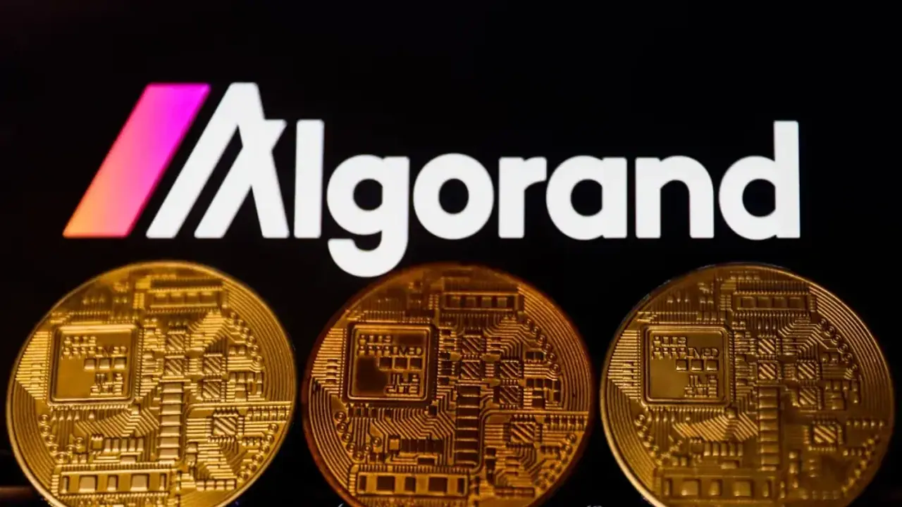 https://stocktwits.com/news articles/markets/cryptocurrency/algorand algo ma chain/chls4lgRR2e