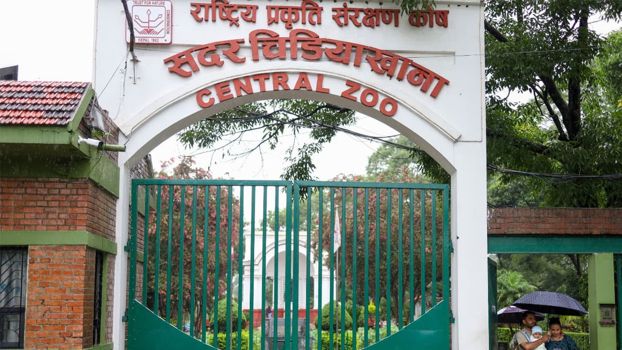 Nepal’s Central Zoo (Photo/ANI) Nepal’s Central Zoo (Photo/ANI)