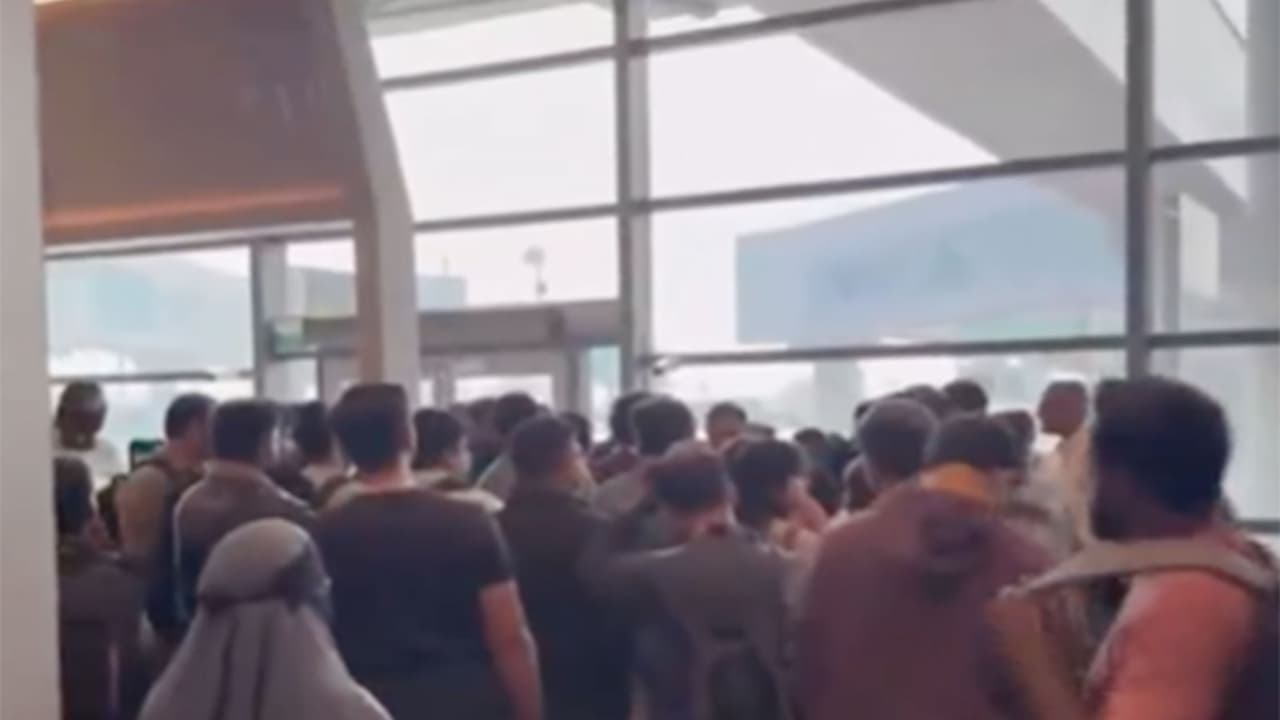 Visual from RGAI (Photo/ANI) Visual from RGAI (Photo/ANI)