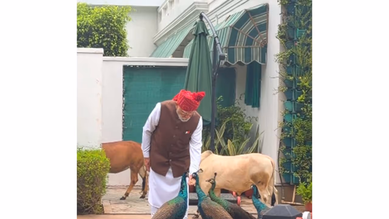 PM Modi feeds his animal friends before leaving for the Red Fort on Independence Day. (Photo: @narendramodi/ instagram) PM Modi feeds his animal friends before leaving for the Red Fort on Independence Day. (Photo: @narendramodi/ instagram)