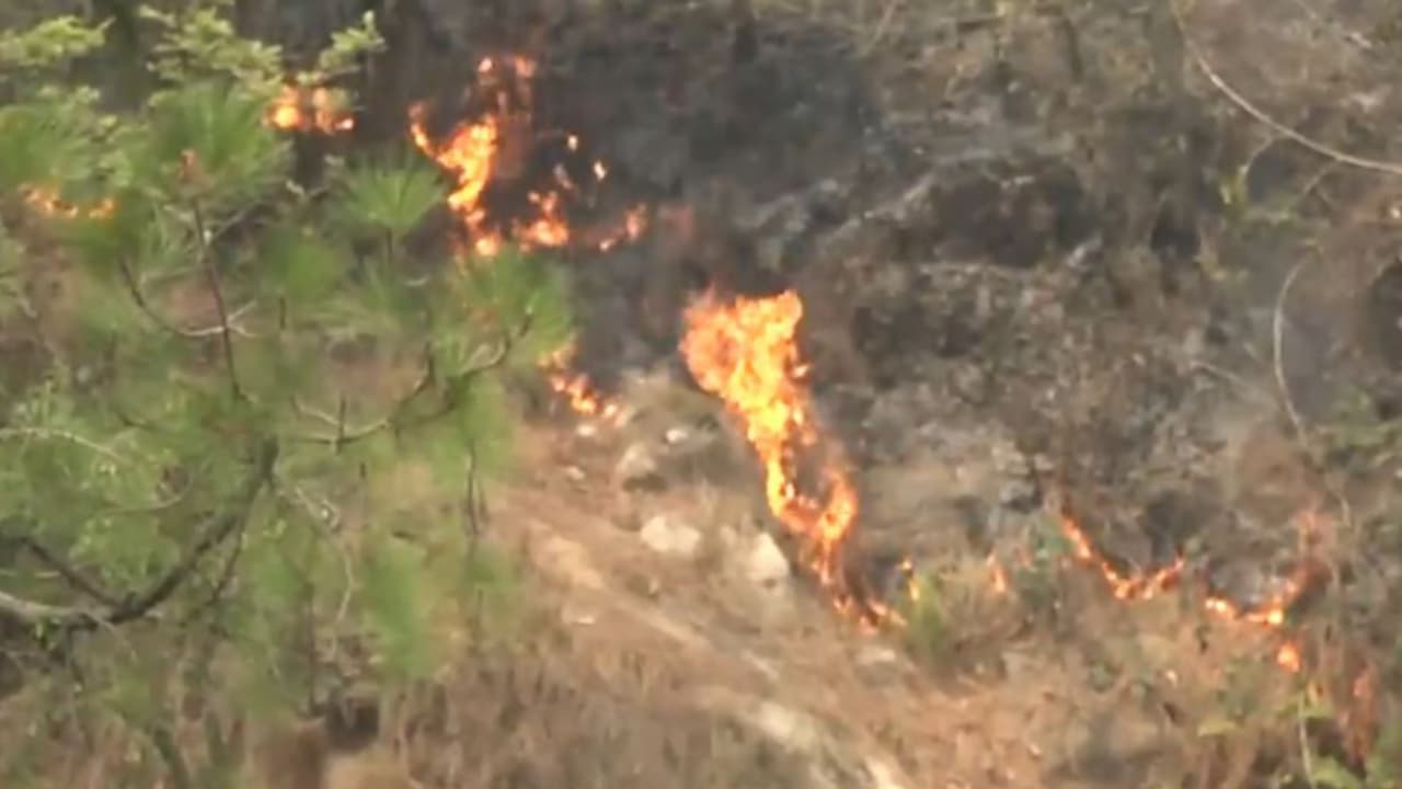 Forest fire broke out in the hills near Katra, JK (Photo/ANI) Forest fire broke out in the hills near Katra, JK (Photo/ANI)