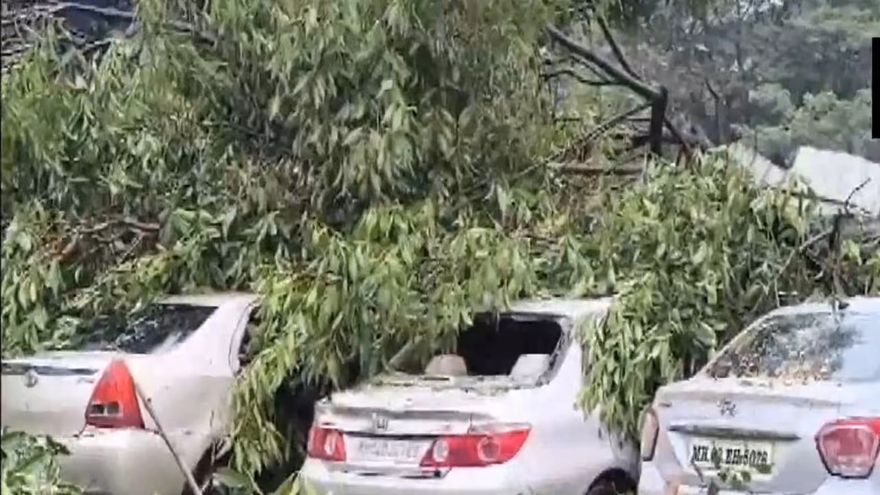 A tree fell on three parked cars in the Bandra area amid heavy rains. (Photo/ANI) A tree fell on three parked cars in the Bandra area amid heavy rains. (Photo/ANI)