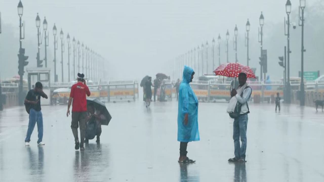 Rain lashes several parts of the national capital, visuals from India Gate (Photo/ANI) Rain lashes several parts of the national capital, visuals from India Gate (Photo/ANI)