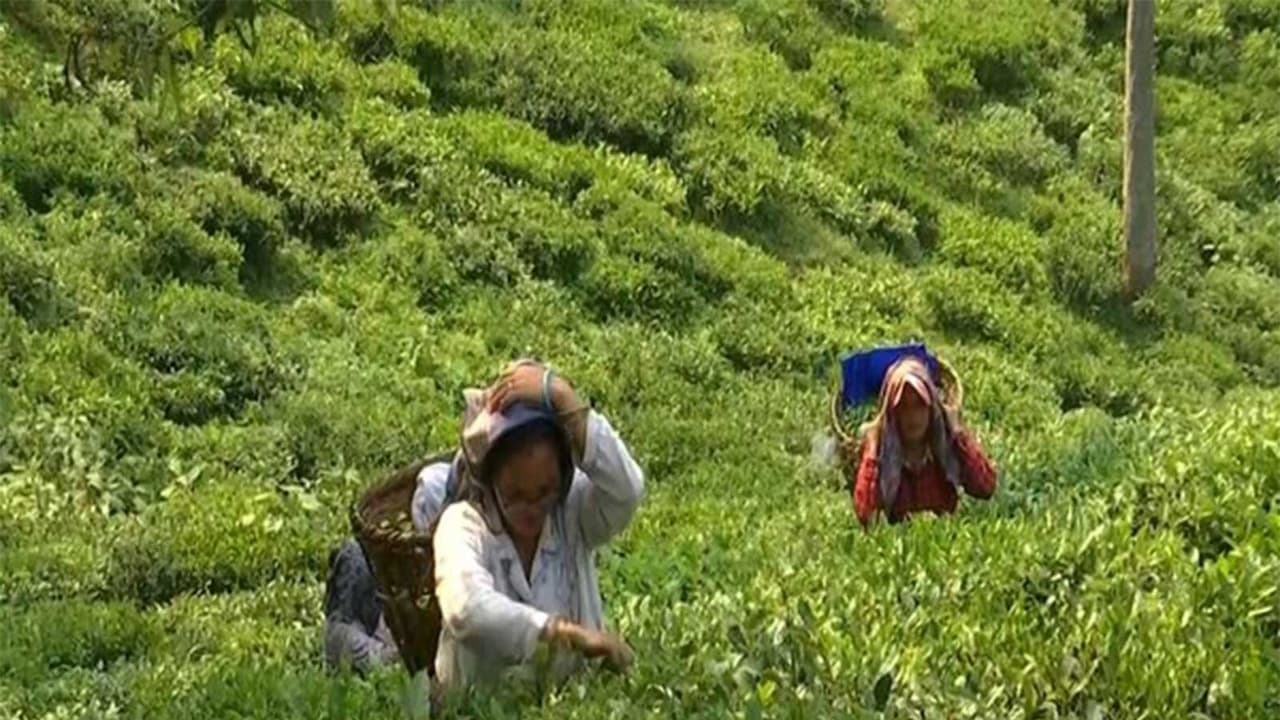 Representative image (File photo/ANI) Representative image (File photo/ANI)