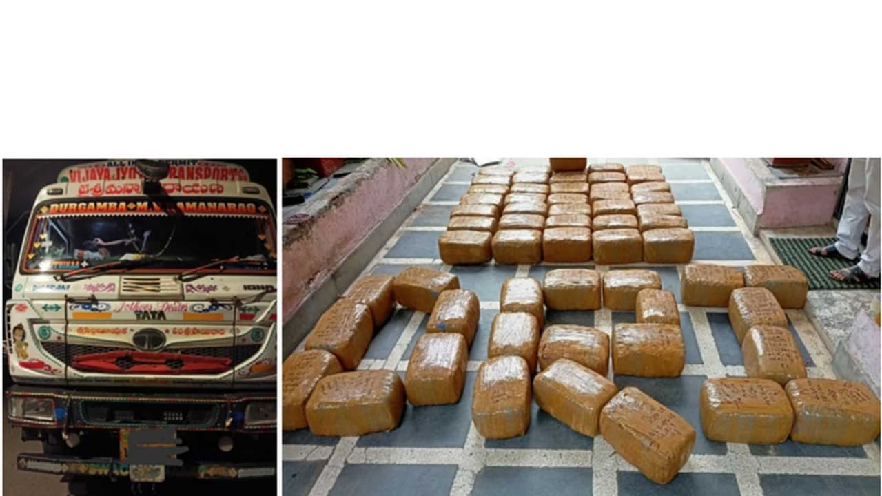Seized truck and 375.95 kg cannabis at Raipur (Photo/PIB) Seized truck and 375.95 kg cannabis at Raipur (Photo/PIB)