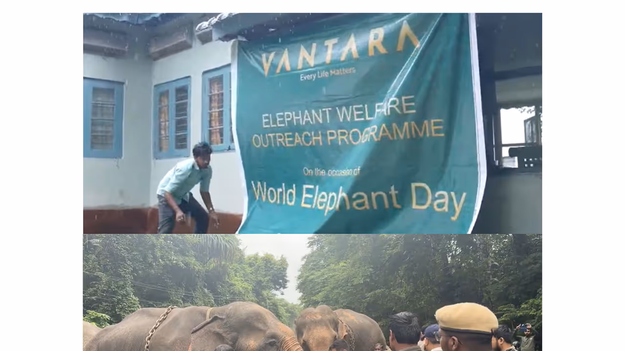 'Vantara' has expanded its elephant welfare outreach (Photo/Vantara press release) 'Vantara' has expanded its elephant welfare outreach (Photo/Vantara press release)