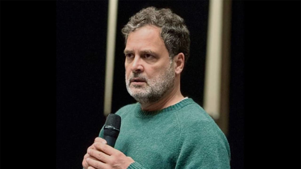 Congress leader and Lok Sabha LoP Rahul Gandhi (Photo/ANI) Congress leader and Lok Sabha LoP Rahul Gandhi (Photo/ANI)