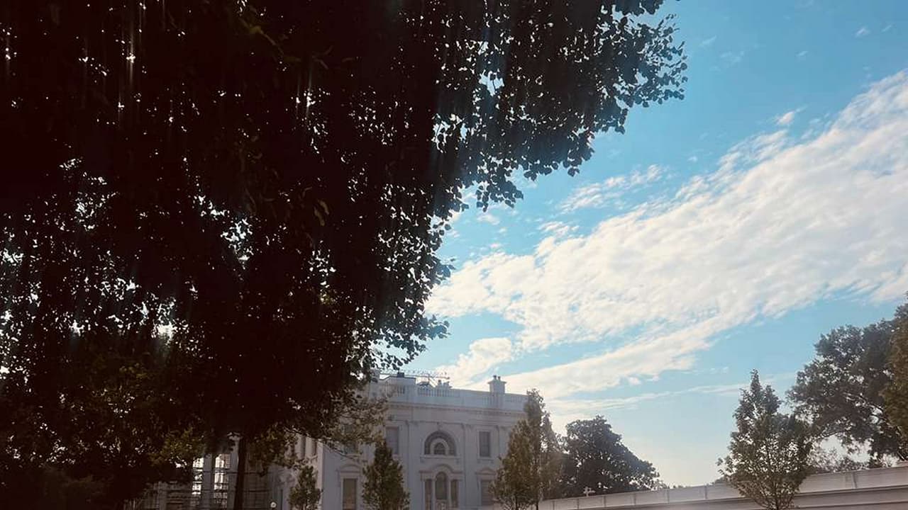 Heat, air quality alerts issued in Washington DC region after stormy Fourth of July (Photo/ANI) Heat, air quality alerts issued in Washington DC region after stormy Fourth of July (Photo/ANI)