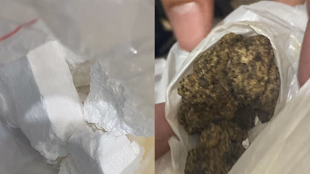 Seized narcotics substance (Photo / DRI Indore zonal unit) Seized narcotics substance (Photo / DRI Indore zonal unit)
