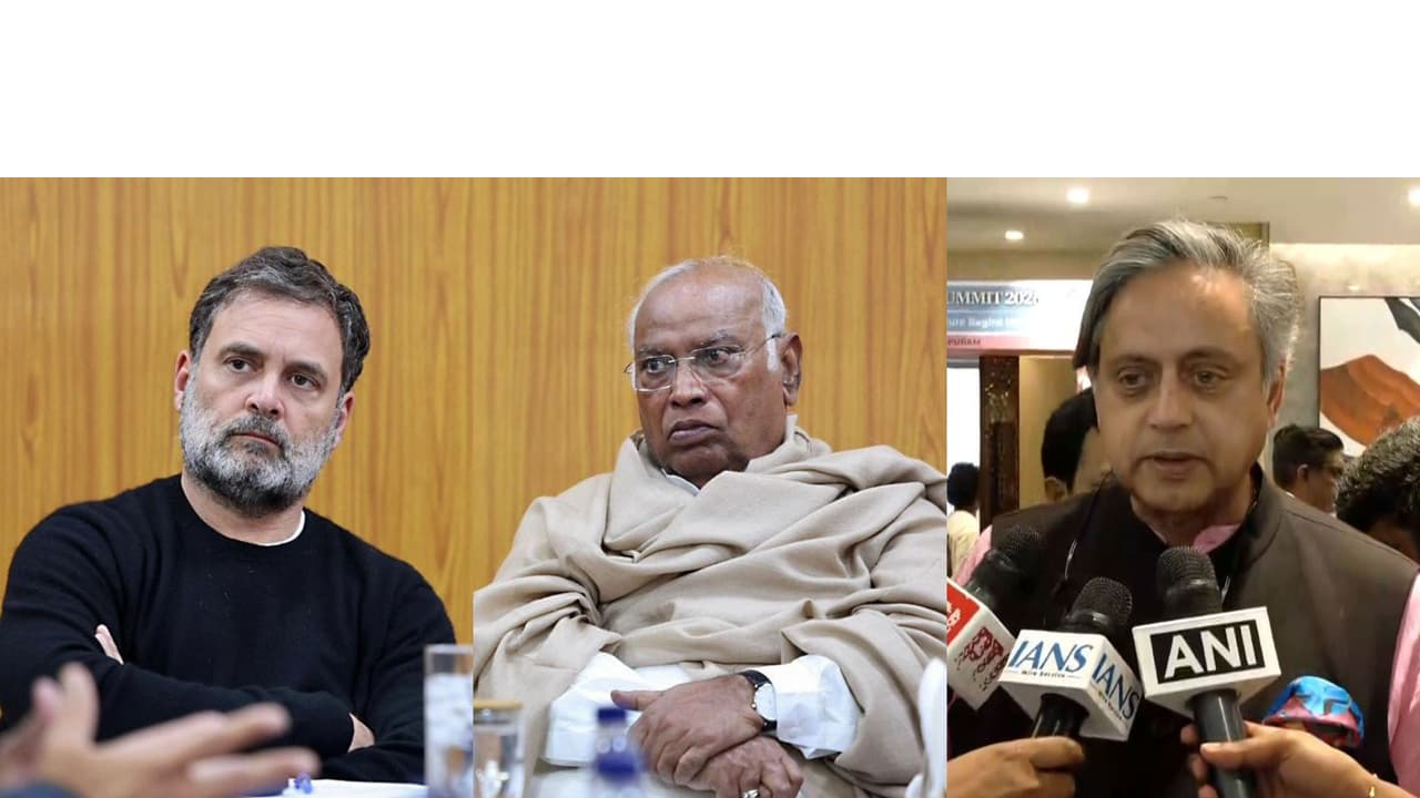 Congress leaders Rahul Gandhi, Mallikarjun Kharge and Shashi Tharoor (Photo/ANI) Congress leaders Rahul Gandhi, Mallikarjun Kharge and Shashi Tharoor (Photo/ANI)