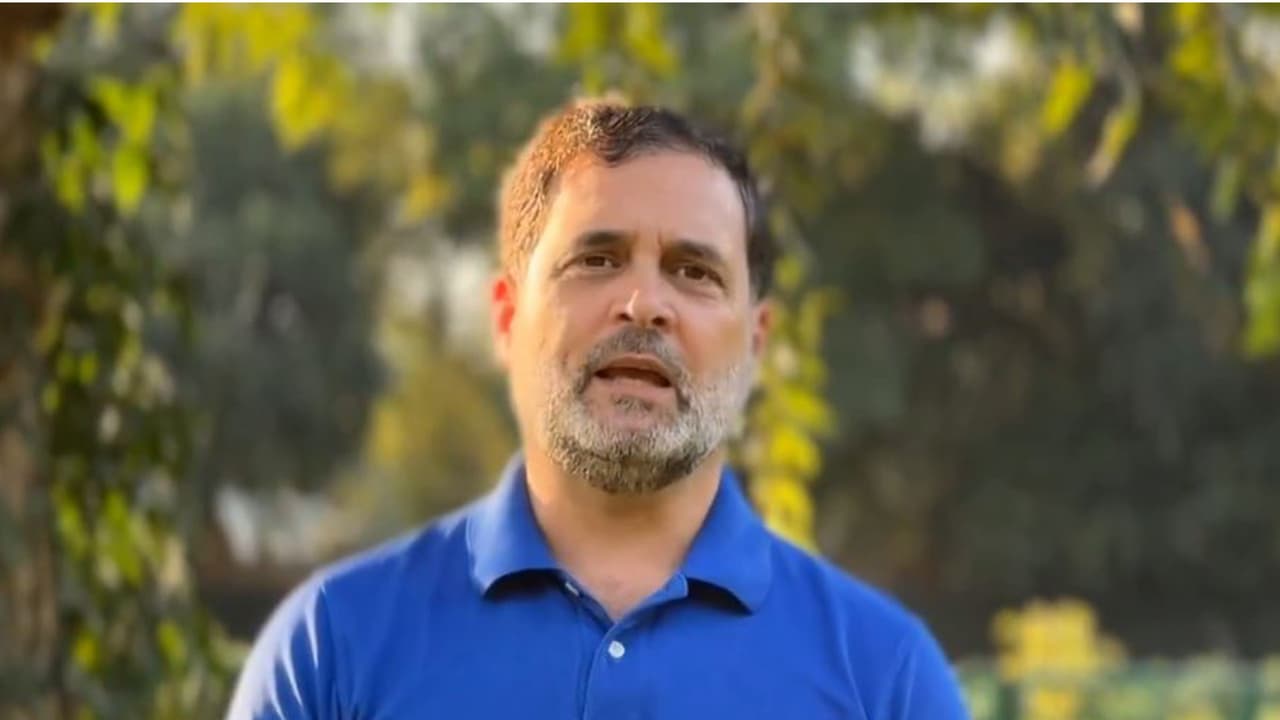 LoP in Lok Sabha, Rahul Gandhi (Photo/@RahulGandhi) LoP in Lok Sabha, Rahul Gandhi (Photo/@RahulGandhi)