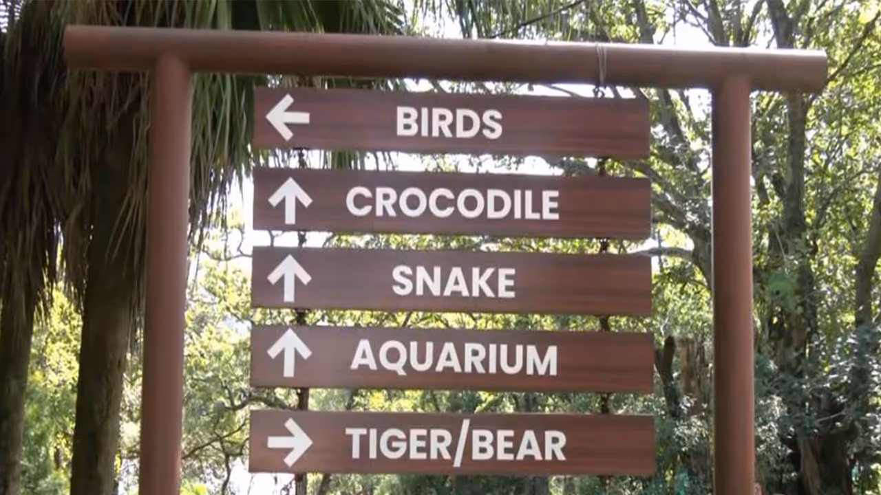 Dehradun Zoo (Photo/ANI) Dehradun Zoo (Photo/ANI)