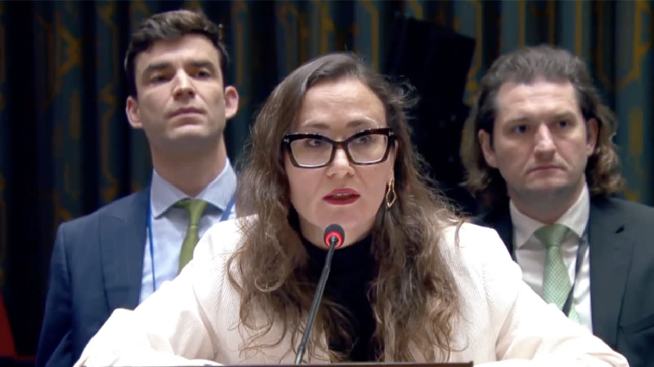 Representative of the Russian Federation at UNSC Dina Gilmutdinova (Photo/russiaun.ru) Representative of the Russian Federation at UNSC Dina Gilmutdinova (Photo/russiaun.ru)