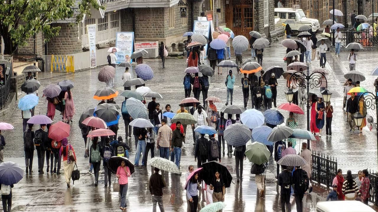 People cover themselves with umbrellas as they walk amid rainfall (Photo/ANI) People cover themselves with umbrellas as they walk amid rainfall (Photo/ANI)