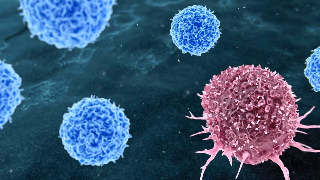 https://stocktwits.com/news articles/markets/equity/sls ibrx iova big pharma early cancer asset hunt jandj sweet spot pfizer deals/cZtVxUkRBT0 https://stocktwits.com/news articles/markets/equity/sls ibrx iova big pharma early cancer asset hunt jandj sweet spot pfizer deals/cZtVxUkRBT0