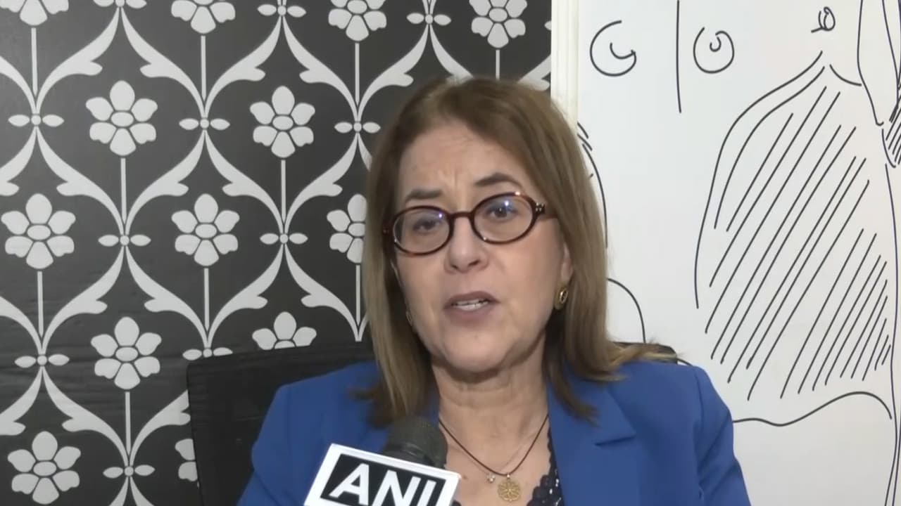 President and CEO, ICCA and MD, FEFCO (European Federation of Corrugated Board Manufacturers), Eleni Despotou (Photo/ANI) President and CEO, ICCA and MD, FEFCO (European Federation of Corrugated Board Manufacturers), Eleni Despotou (Photo/ANI)