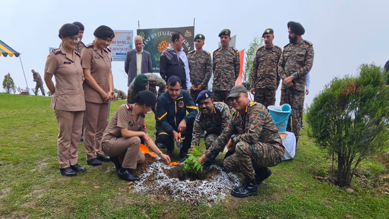 A visual from Community plantation drive 'Ek Ped Sehat Ke Naam' (Photo/DPRO Shimla) A visual from Community plantation drive 'Ek Ped Sehat Ke Naam' (Photo/DPRO Shimla)