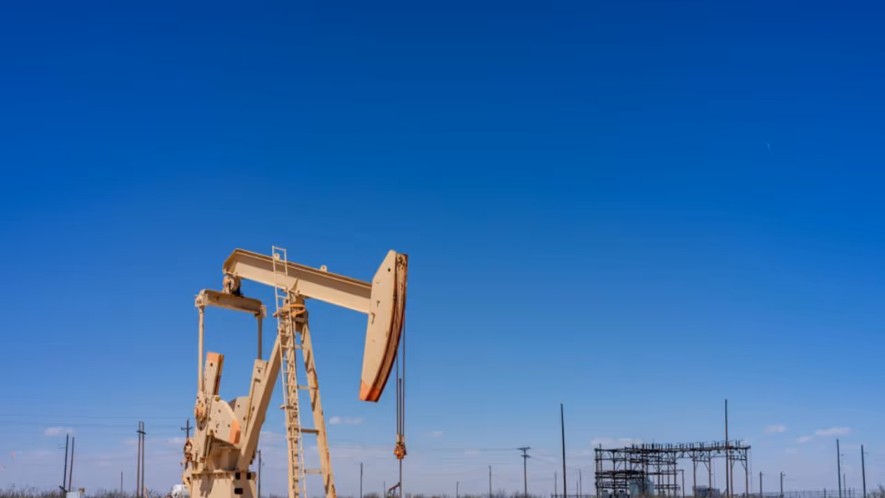 LandBridge Stock Slips After Q4 Revenue Miss, Retail’s Still Bullish