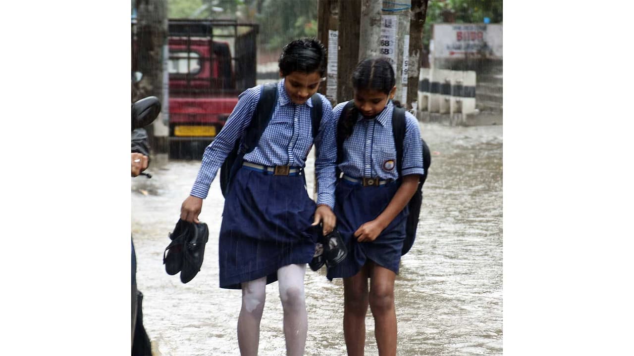 Representative image (File photo/ANI) Representative image (File photo/ANI)