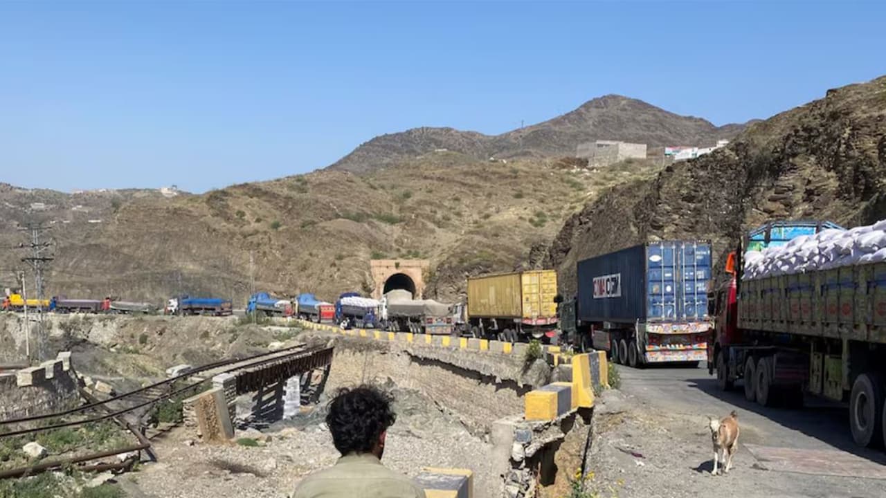 Representational Image (Photo/ANI) Representational Image (Photo/ANI)