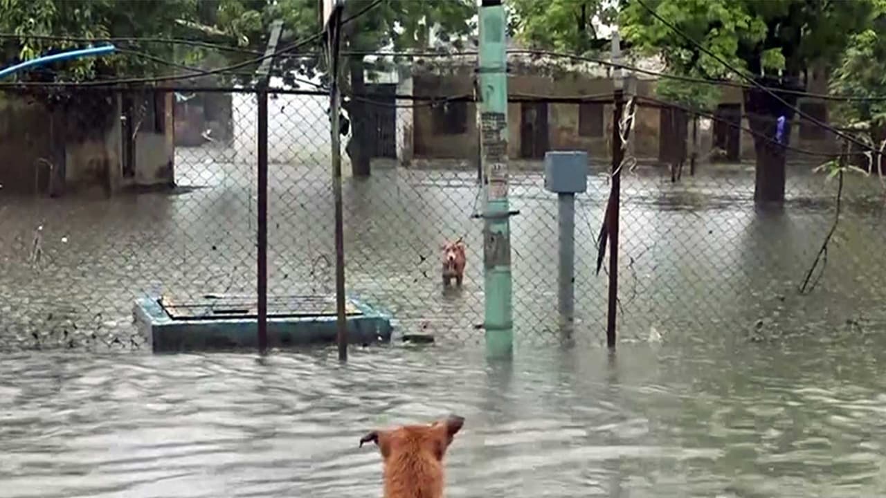 A view of waterlogged area in Surat (Photo/ANI) A view of waterlogged area in Surat (Photo/ANI)
