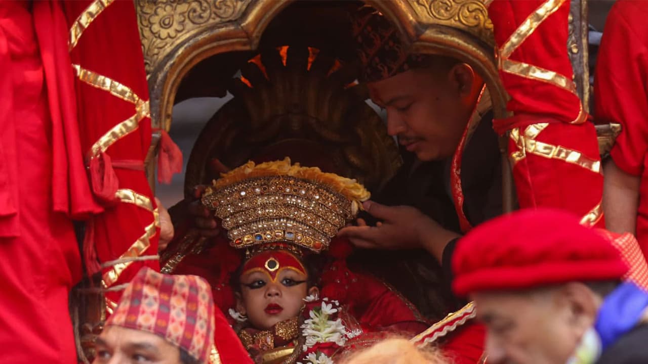 The newly anointed living goddess Kumari, Aryatara Shakya, participates in a five day tour around Kathmandu on a chariot during the Indra Jatra festival (Photo/ANI) The newly anointed living goddess Kumari, Aryatara Shakya, participates in a five day tour around Kathmandu on a chariot during the Indra Jatra festival (Photo/ANI)