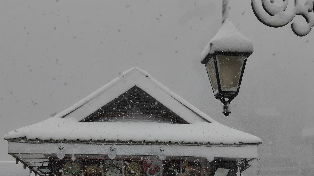 Fresh snowfall arrives in Shimla (Photo/ANI) Fresh snowfall arrives in Shimla (Photo/ANI)