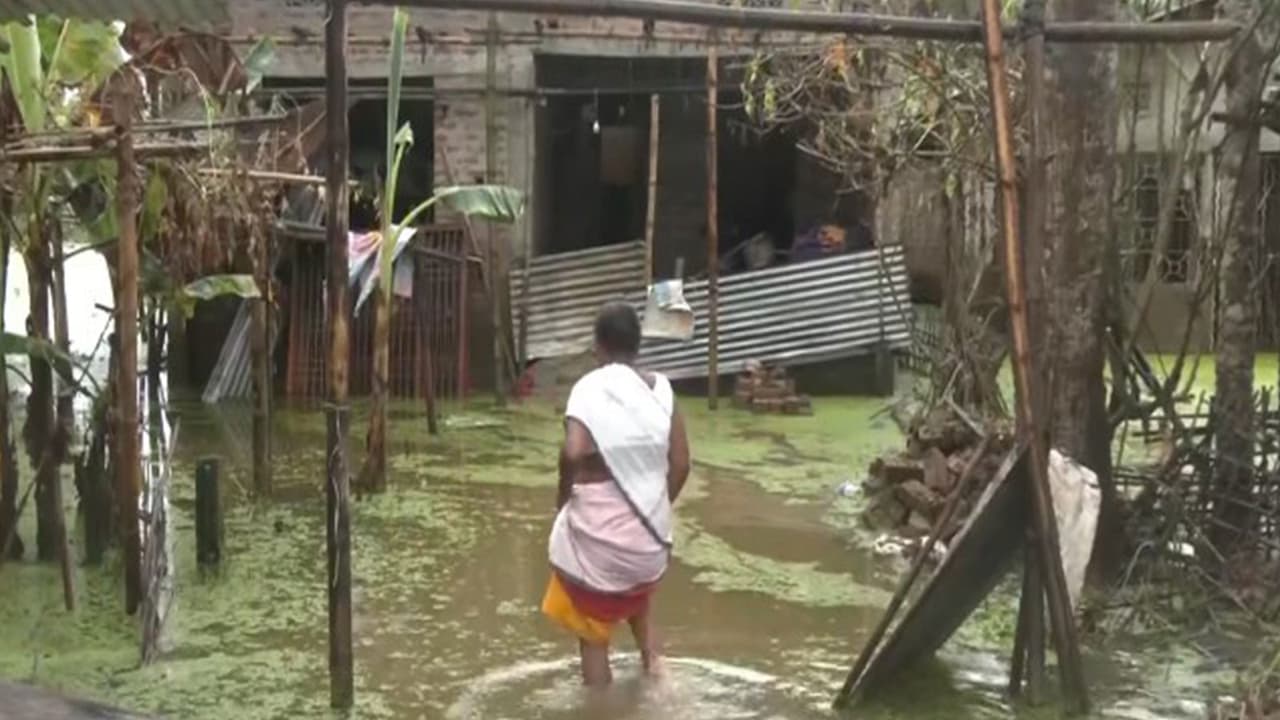 Families in Assam living in makeshift tents (Photo/ANI) Families in Assam living in makeshift tents (Photo/ANI)